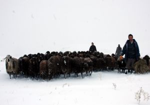 Doğu'da yaşamak sanatı...!
